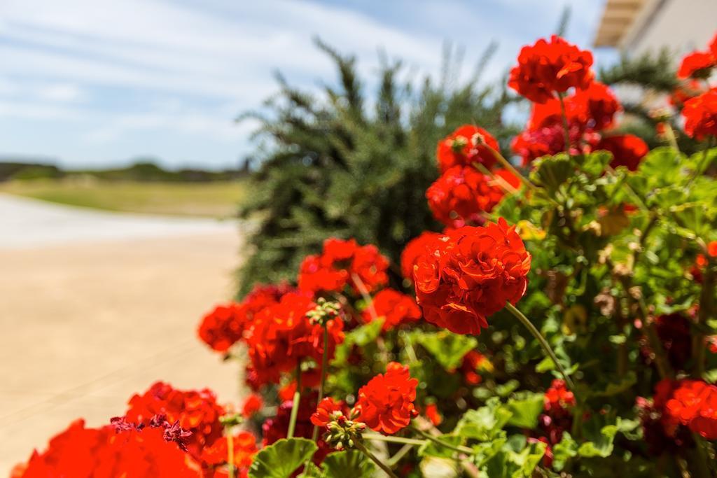 Wytonia Beachfront Accommodation Port Fairy Exterior foto
